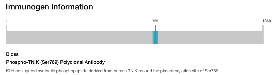 Phospho-TNIK (Ser769) Polyclonal Antibody