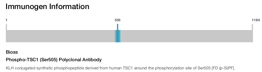 Phospho-TSC1 (Ser505) Polyclonal Antibody