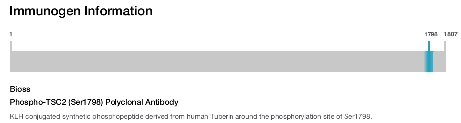 Phospho-TSC2 (Ser1798) Polyclonal Antibody