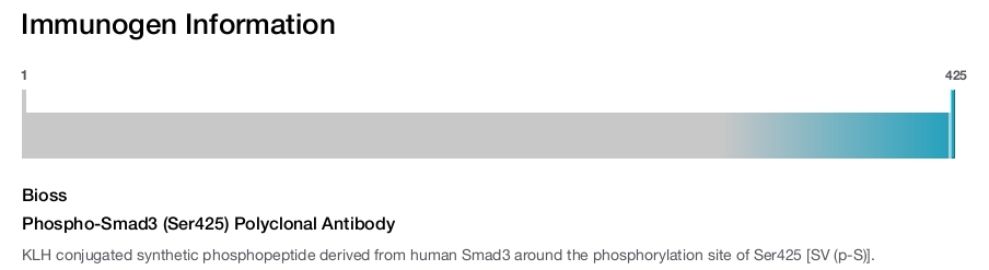 Phospho-Smad3 (Ser425) Polyclonal Antibody
