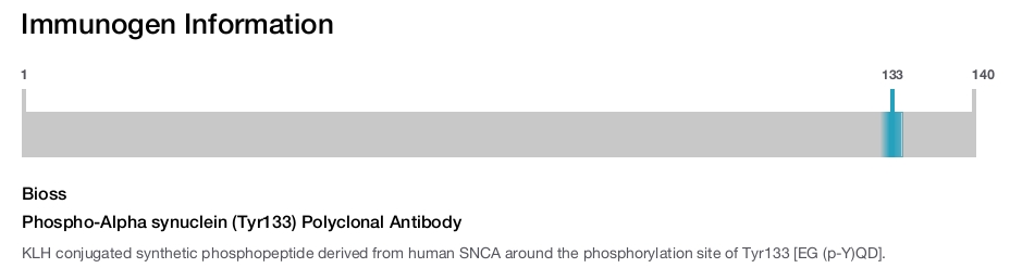 Phospho-Alpha synuclein (Tyr133) Polyclonal Antibody