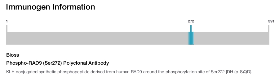 Phospho-RAD9 (Ser272) Polyclonal Antibody