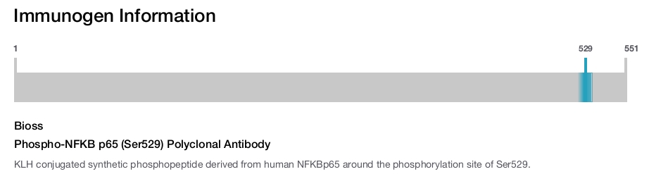Phospho-NFKB p65 (Ser529) Polyclonal Antibody