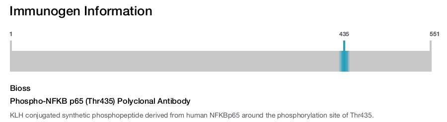 Phospho-NFKB p65 (Thr435) Polyclonal Antibody