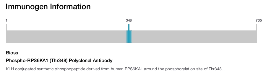 Phospho-RPS6KA1 (Thr348) Polyclonal Antibody