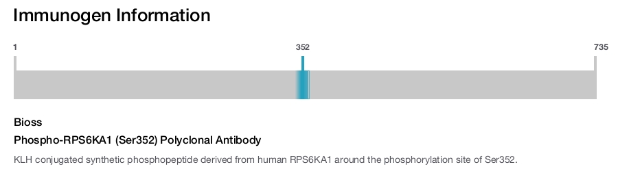 Phospho-RPS6KA1 (Ser352) Polyclonal Antibody