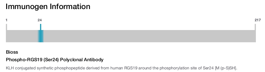 Phospho-RGS19 (Ser24) Polyclonal Antibody