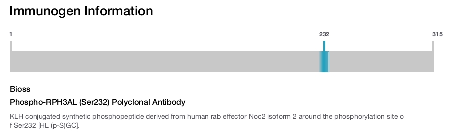 Phospho-RPH3AL (Ser232) Polyclonal Antibody