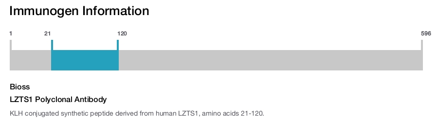 LZTS1 Polyclonal Antibody