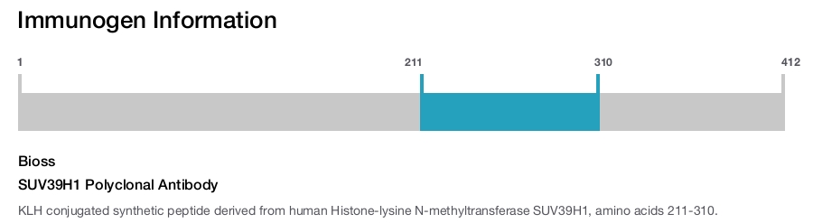 SUV39H1 Polyclonal Antibody