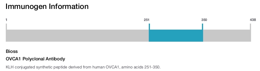 OVCA1 Polyclonal Antibody
