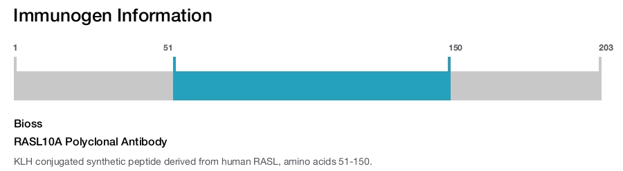 RASL10A Polyclonal Antibody