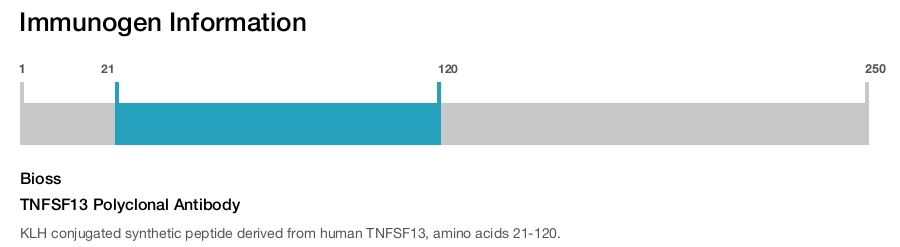 TNFSF13 Polyclonal Antibody