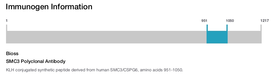 SMC3 Polyclonal Antibody