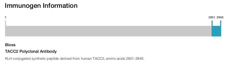 TACC2 Polyclonal Antibody