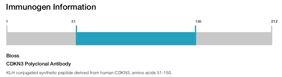 CDKN3 Polyclonal Antibody