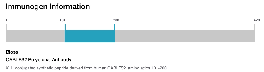 CABLES2 Polyclonal Antibody