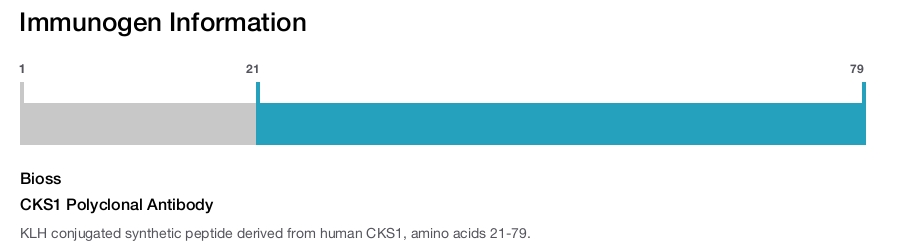 CKS1 Polyclonal Antibody