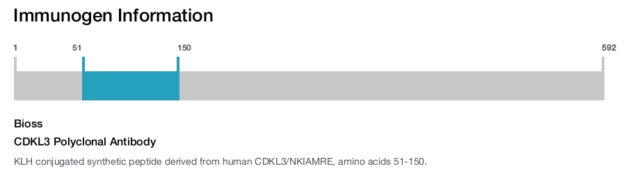 CDKL3 Polyclonal Antibody