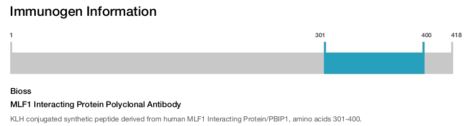 MLF1 Interacting Protein Polyclonal Antibody
