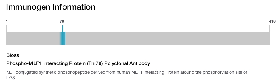Phospho-MLF1 Interacting Protein (Thr78) Polyclonal Antibody