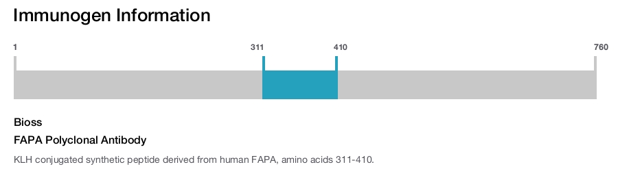 FAPA Polyclonal Antibody