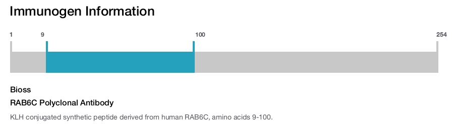RAB6C Polyclonal Antibody
