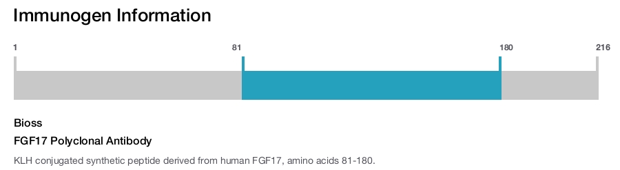 FGF17 Polyclonal Antibody