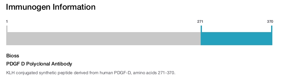 PDGF D Polyclonal Antibody
