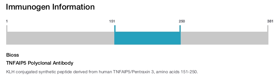 TNFAIP5 Polyclonal Antibody
