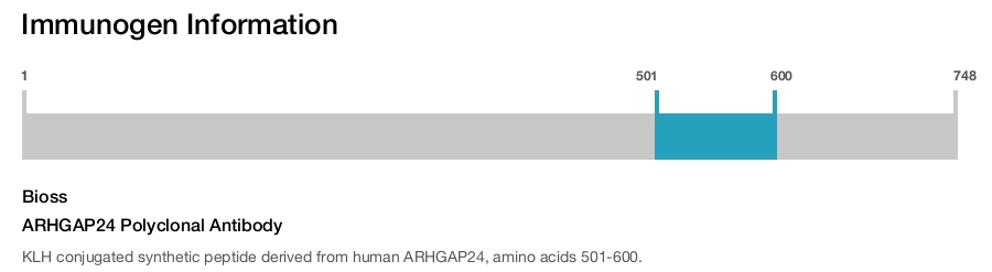 ARHGAP24 Polyclonal Antibody