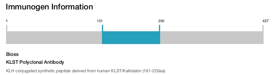 KLST Polyclonal Antibody