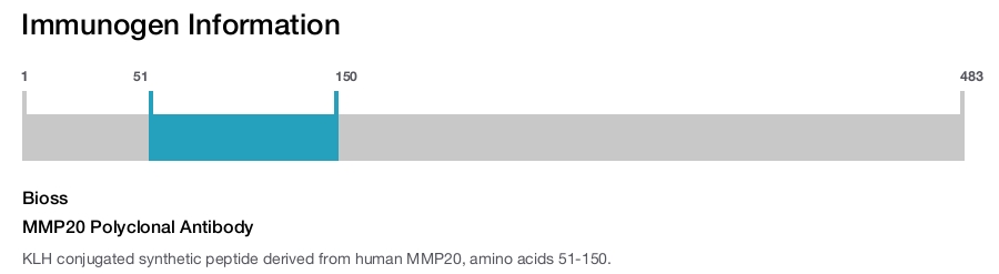 MMP20 Polyclonal Antibody
