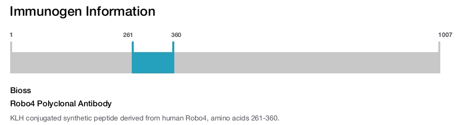 Robo4 Polyclonal Antibody