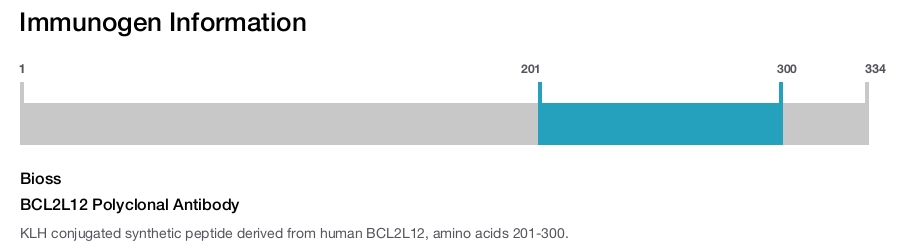 BCL2L12 Polyclonal Antibody