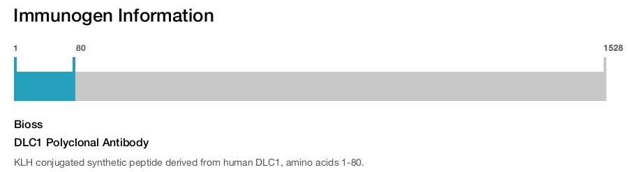 DLC1 Polyclonal Antibody