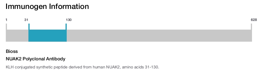 NUAK2 Polyclonal Antibody