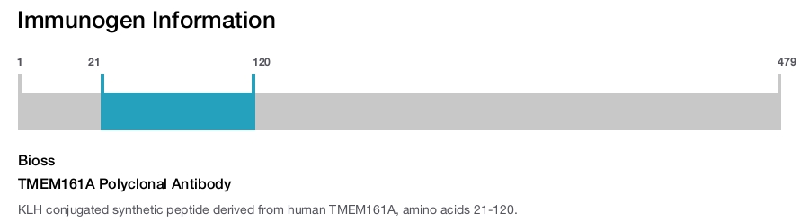 TMEM161A Polyclonal Antibody
