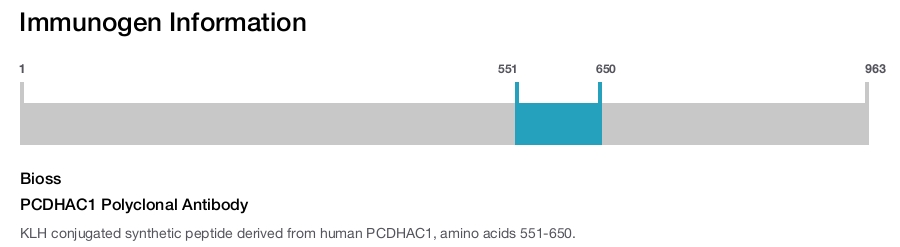 PCDHAC1 Polyclonal Antibody