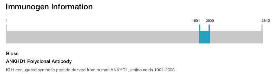 ANKHD1 Polyclonal Antibody