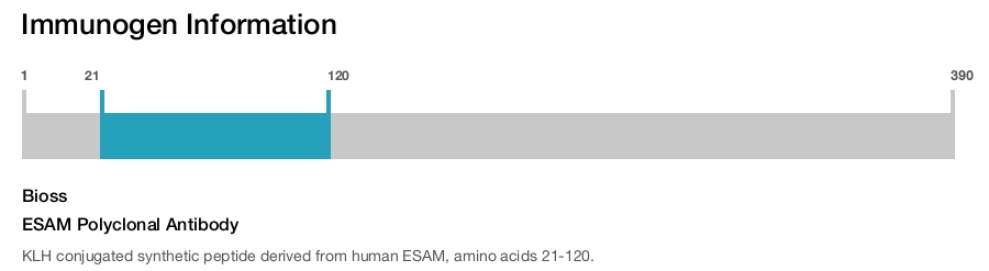ESAM Polyclonal Antibody