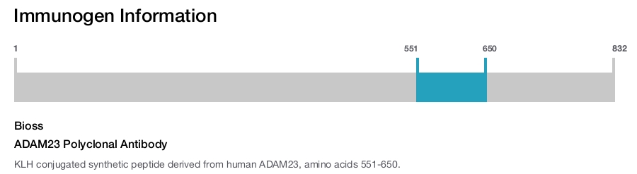 ADAM23 Polyclonal Antibody