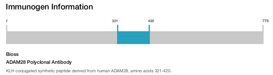 ADAM28 Polyclonal Antibody