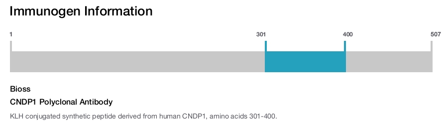 CNDP1 Polyclonal Antibody