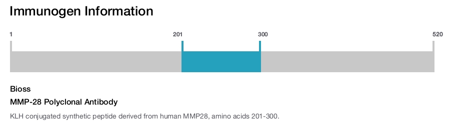 MMP-28 Polyclonal Antibody