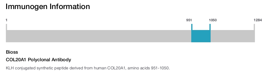 COL20A1 Polyclonal Antibody