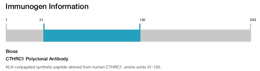CTHRC1 Polyclonal Antibody