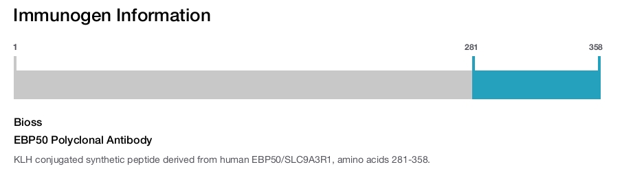 EBP50 Polyclonal Antibody