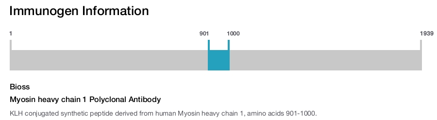 Myosin heavy chain 1 Polyclonal Antibody