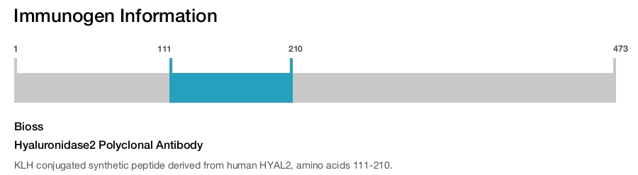 Hyaluronidase2 Polyclonal Antibody